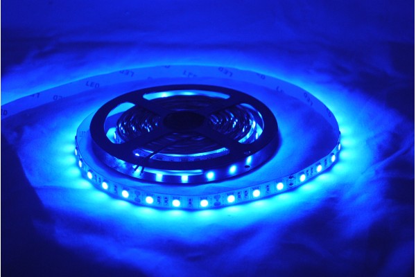 LED Strips-5050-5m- Blue